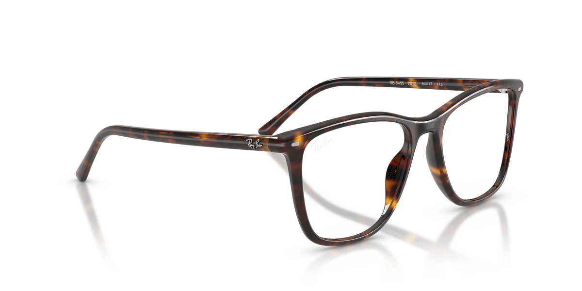 Gafas Graduadas Ray-Ban RX5455 2012 52 / 54 17