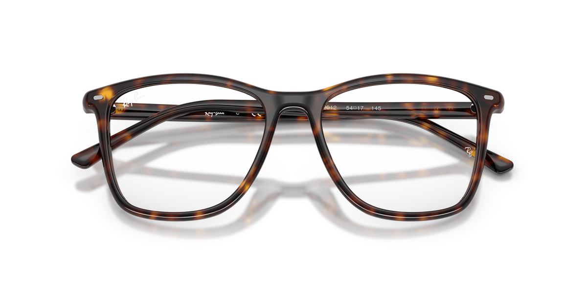 Gafas Graduadas Ray-Ban RX5455 2012 52 / 54 17