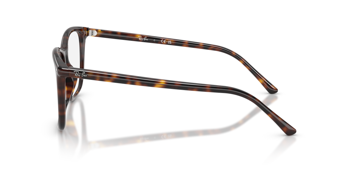 Gafas Graduadas Ray-Ban RX5455 2012 52 / 54 17