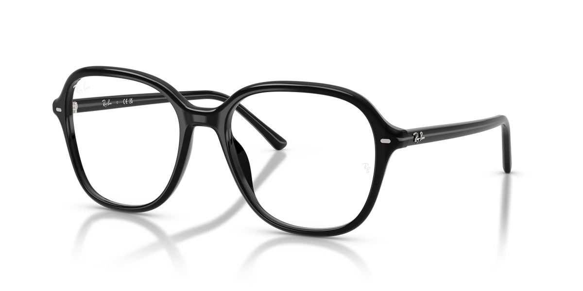 Prescription Glasses Ray-Ban RX5456 2000 54 / 56 18