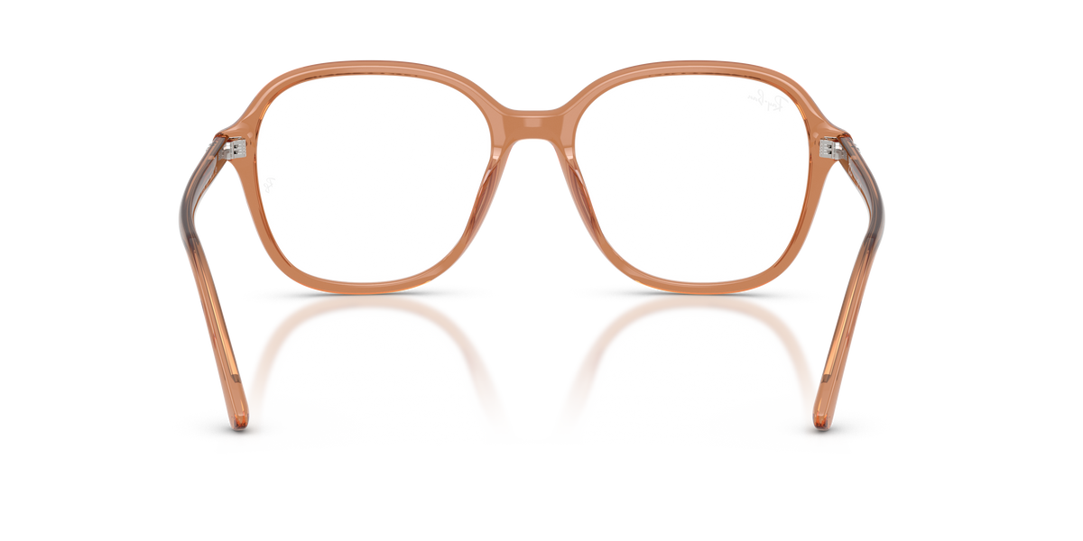 Prescription Glasses Ray-Ban RX5456 8537 54 / 56 18