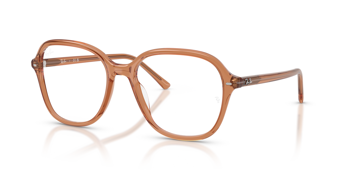 Prescription Glasses Ray-Ban RX5456 8537 54 / 56 18