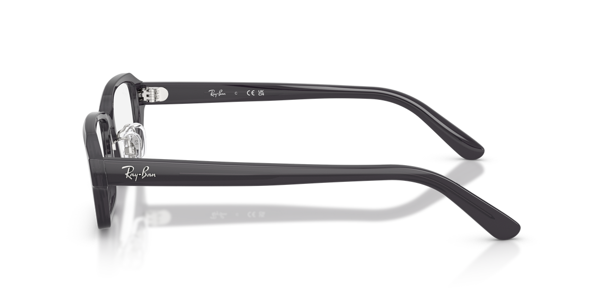 Gafas Graduadas Ray-Ban RX5458D 5920 54 17