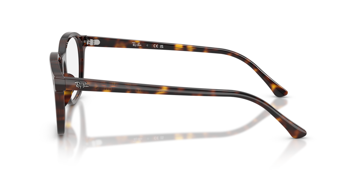 Gafas Graduadas Ray-Ban RX5460 2012 50 / 52 20