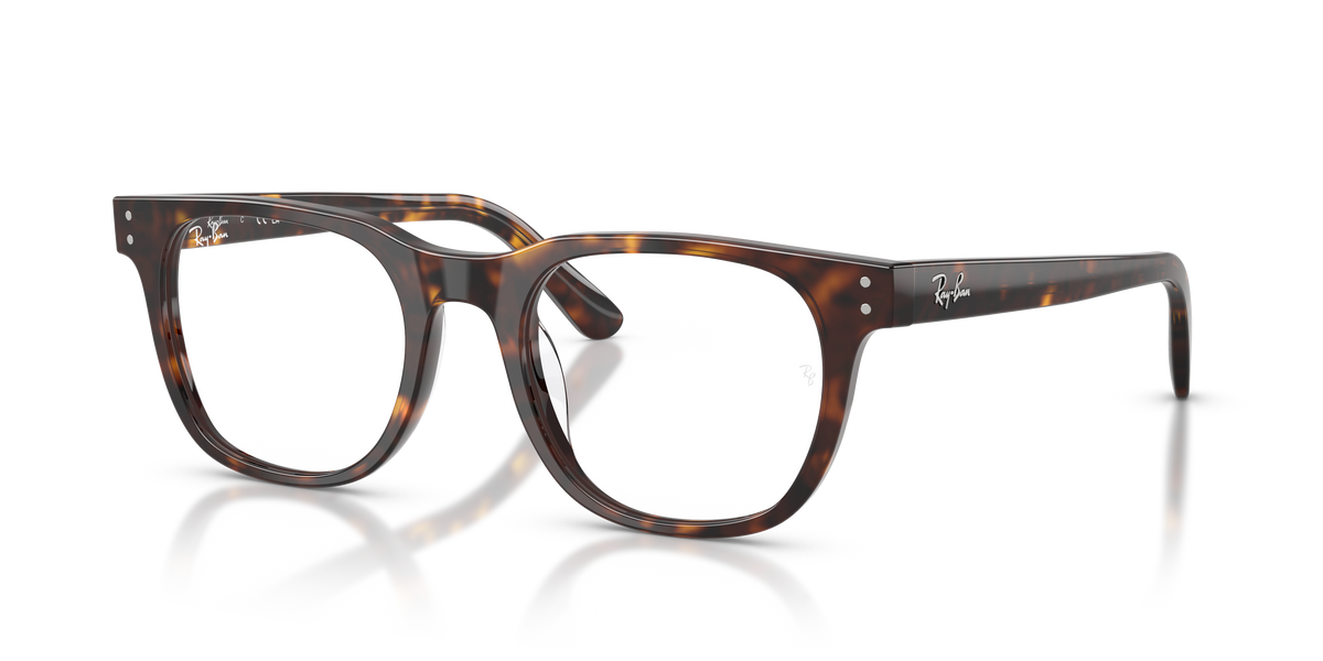 Prescription Glasses Ray-Ban RX5461D 2012 51 20