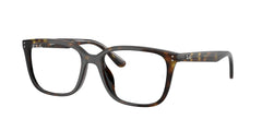 Gafas Graduadas Ray-Ban RX7248D 2012 55 18