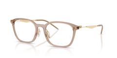 Gafas Graduadas Ray-Ban RX7555 8471 52 / 54 20