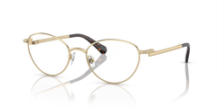 Prescription Glasses Swarovski Sk1002 SK1002 4013 53 19