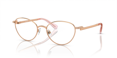 Gafas Graduadas Swarovski Sk1002 SK1002 4014 51 19