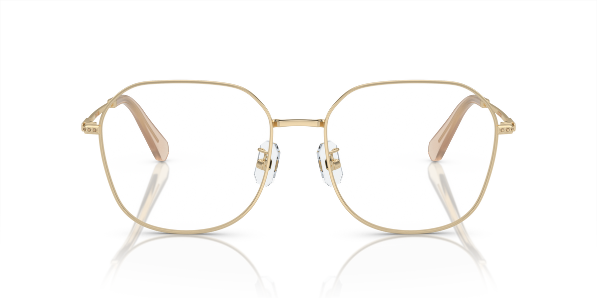 Gafas de Sol Swarovski SK1009D 4013 58 18
