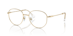 Gafas Graduadas Swarovski SK1016D 4013 54 19