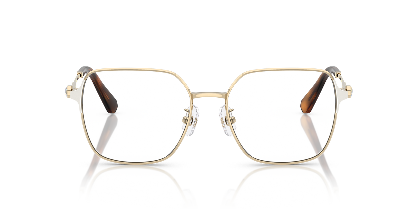 Gafas de Sol Swarovski SK1020D 4028 53 17