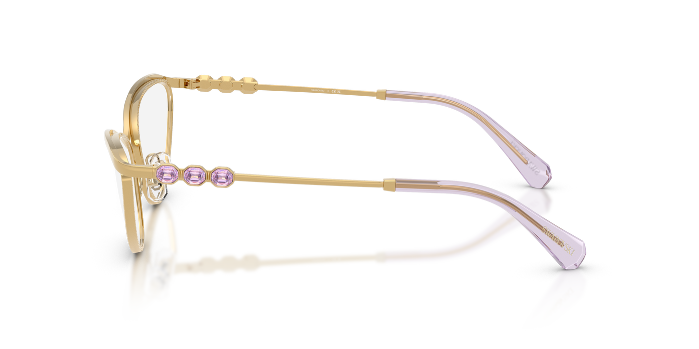 Gafas Graduadas Swarovski Sk1027 SK1027 4017 59 17