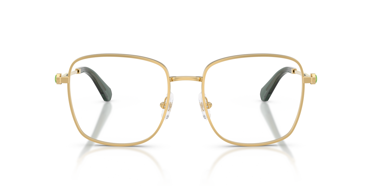 Prescription Glasses Swarovski SK1036 4017 53 / 55 18