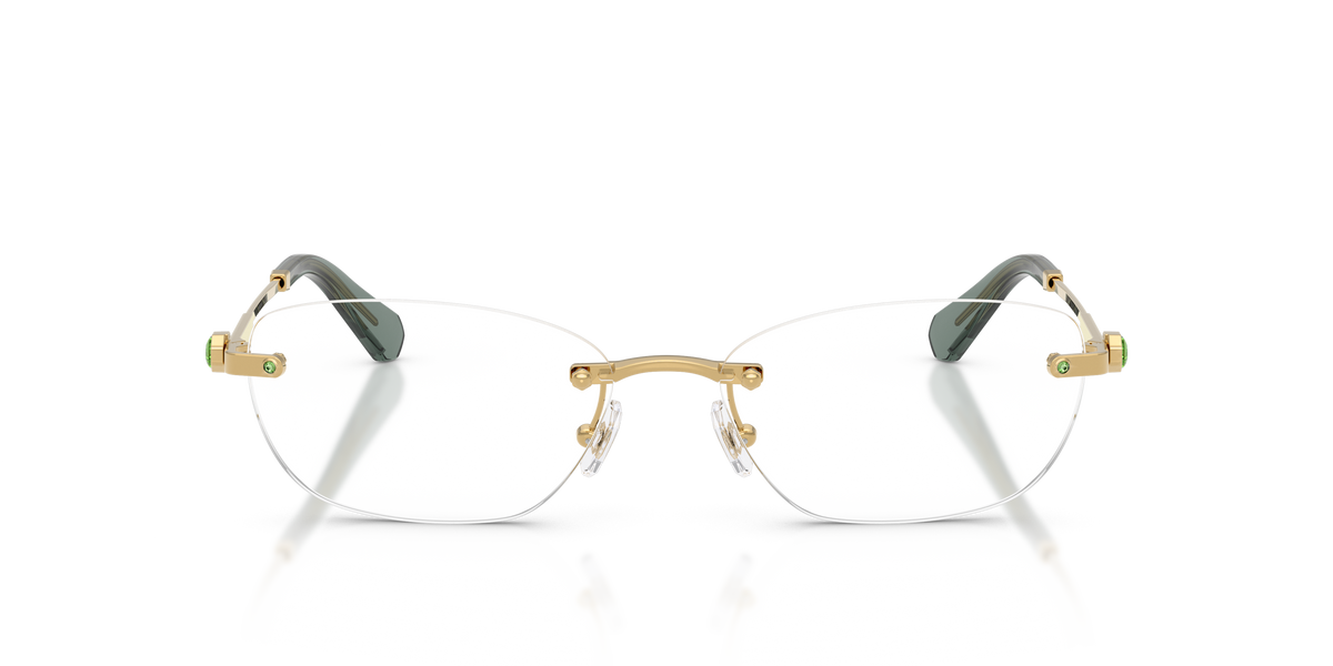 Gafas Graduadas Swarovski SK1037 4017 54 / 56 16