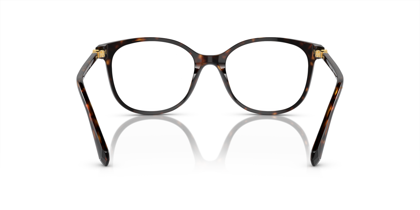 Gafas Graduadas Swarovski Sk2002 SK2002 1002 51 17