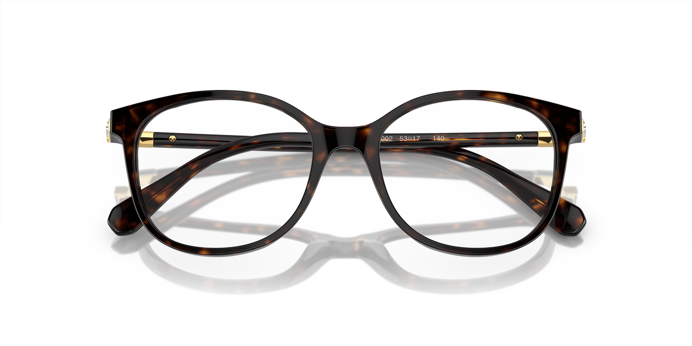 Gafas Graduadas Swarovski Sk2002 SK2002 1002 53 17