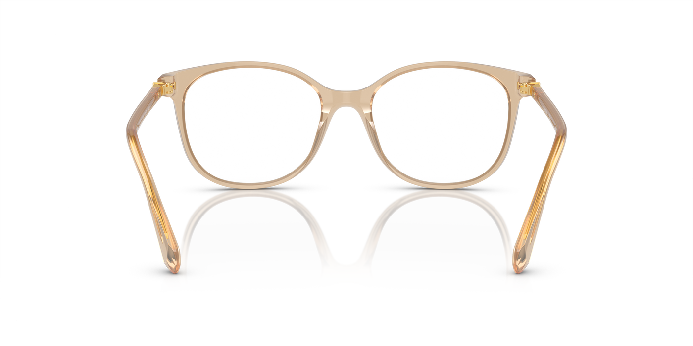 Gafas Graduadas Swarovski Sk2002 SK2002 1034 53 17