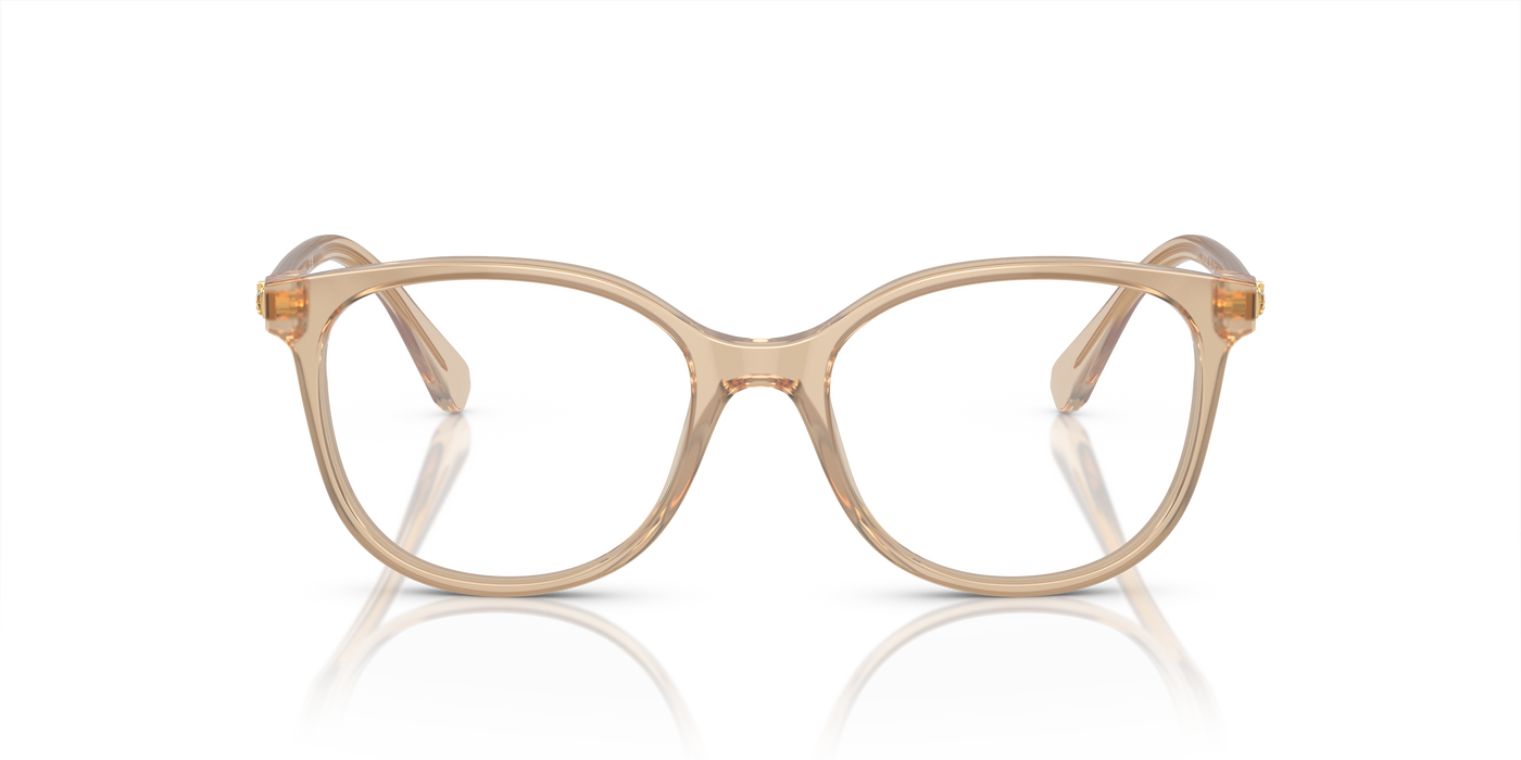 Gafas Graduadas Swarovski Sk2002 SK2002 1034 53 17