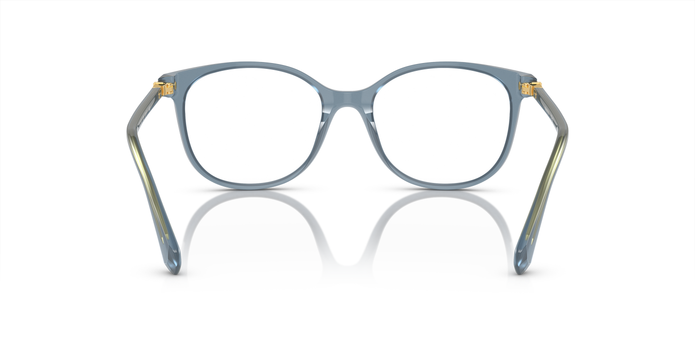 Gafas Graduadas Swarovski Sk2002 SK2002 1035 51 17