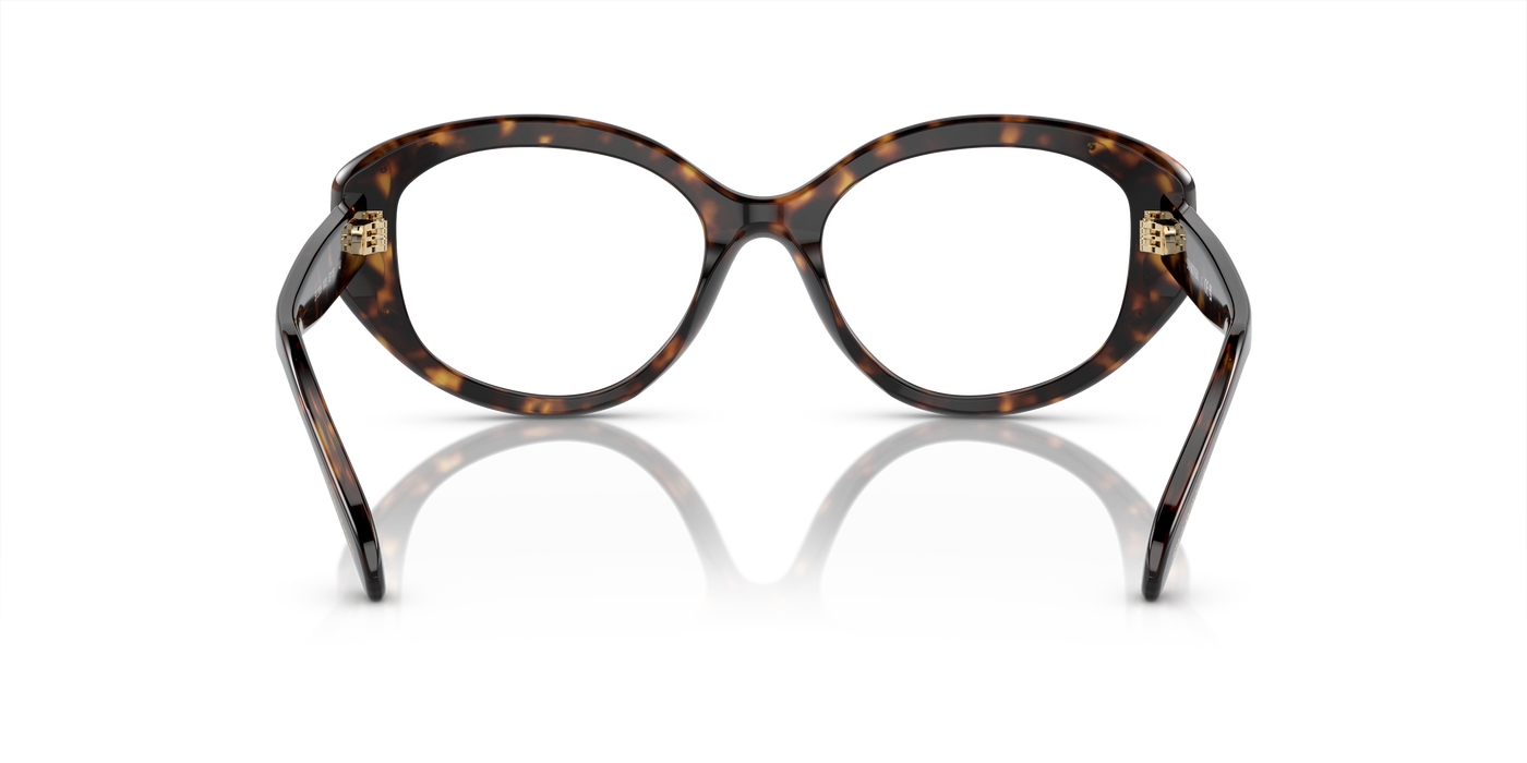 Prescription Glasses Swarovski SK2006 1002 52 18