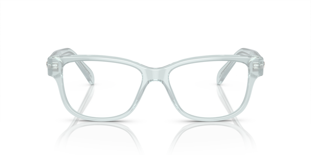 Gafas de Sol Swarovski SK2007 1024 52 16