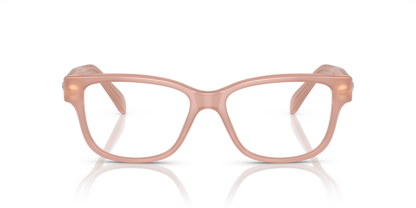 Gafas de Sol Swarovski SK2007 1025 52 16