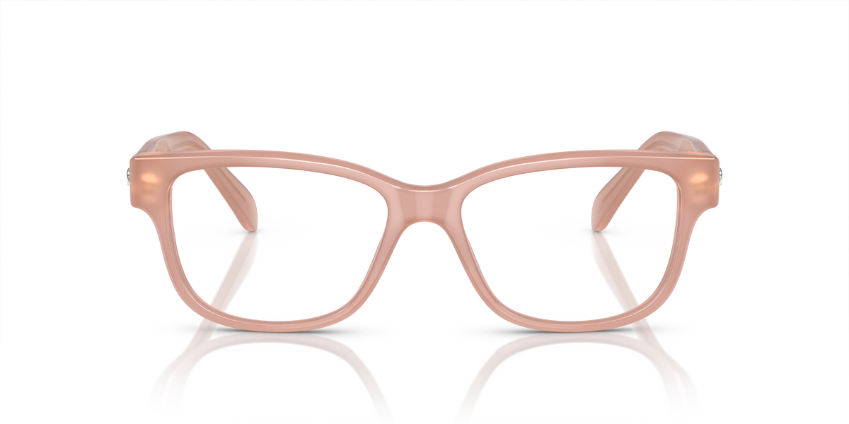 Gafas de Sol Swarovski SK2007 1025 52 16