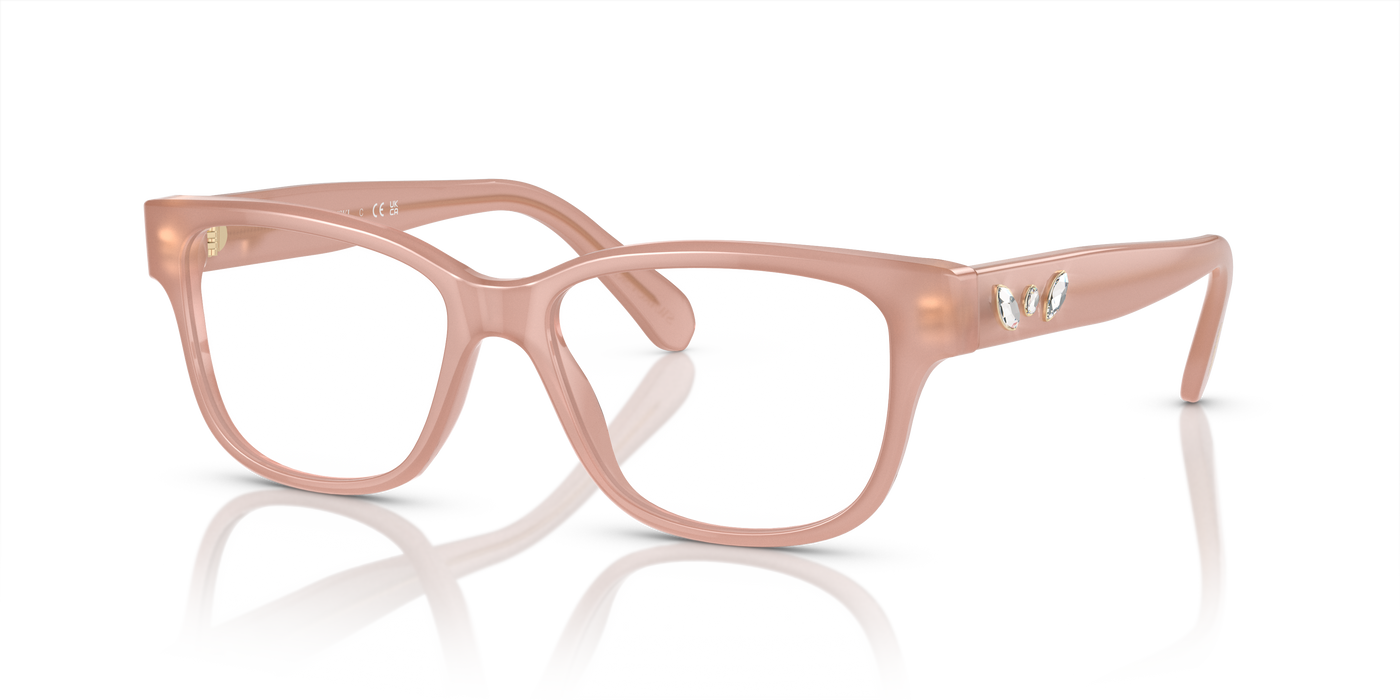 Gafas de Sol Swarovski SK2007 1025 52 16