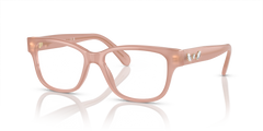 Gafas de Sol Swarovski SK2007 1025 52 16