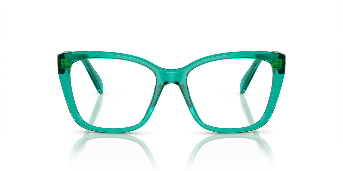 Gafas de Sol Swarovski SK2008 1029 53 17