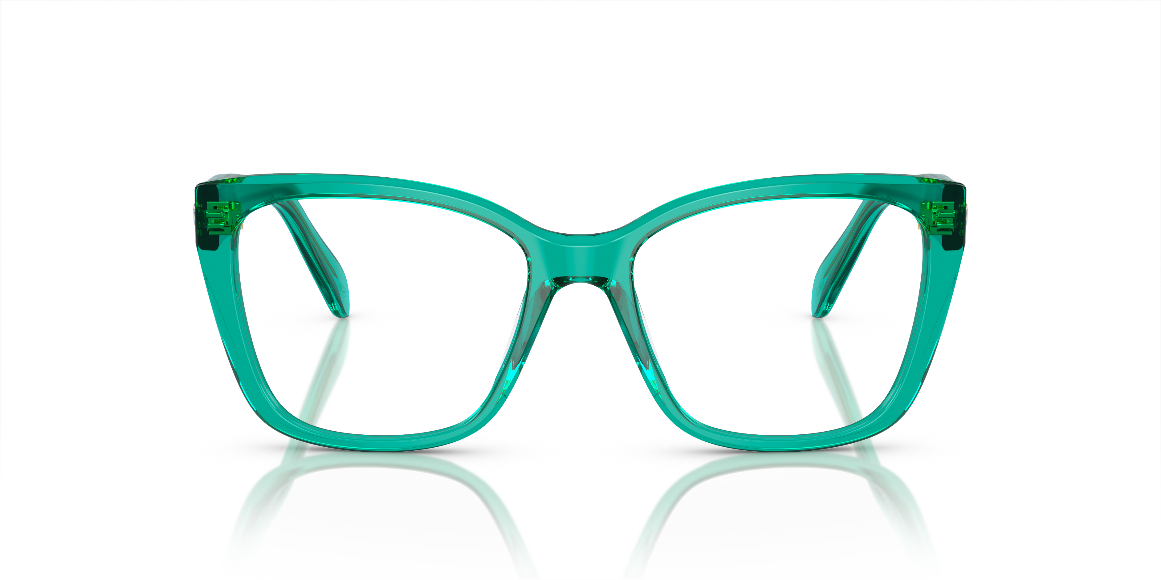 Gafas de Sol Swarovski SK2008 1029 53 17