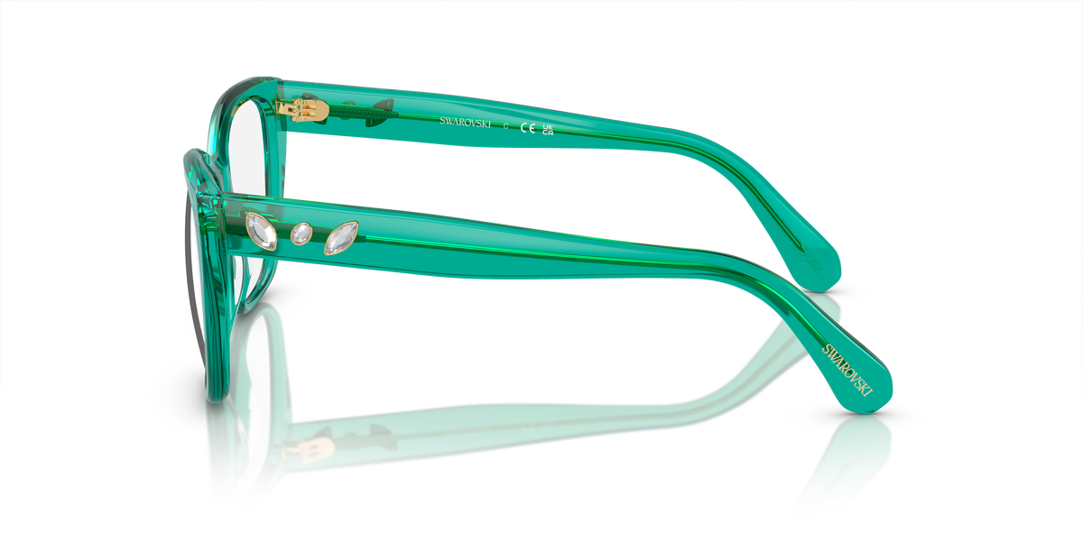 Gafas de Sol Swarovski SK2008 1029 53 17