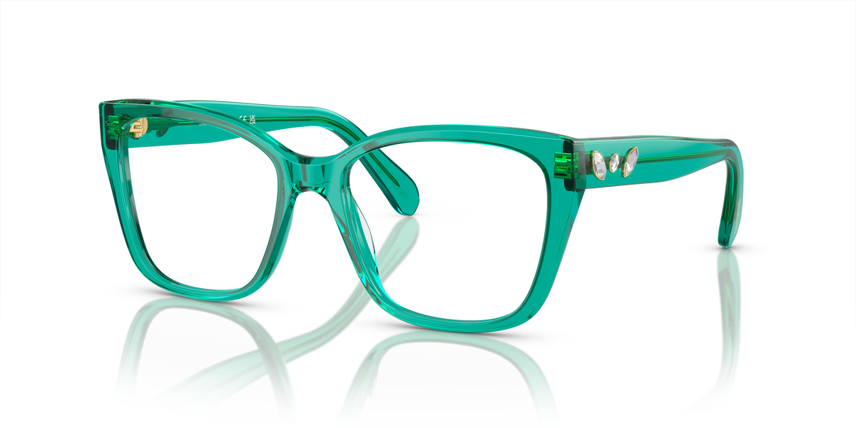 Gafas de Sol Swarovski SK2008 1029 53 17