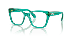 Gafas de Sol Swarovski SK2008 1029 53 17