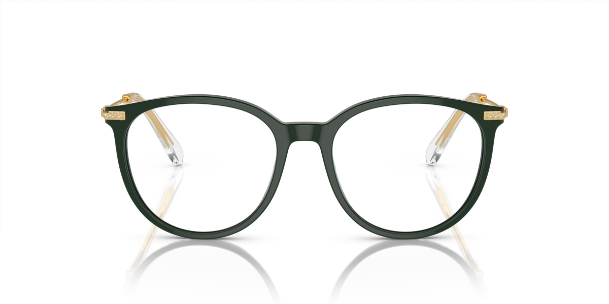 Gafas de Sol Swarovski SK2009 1026 52 17