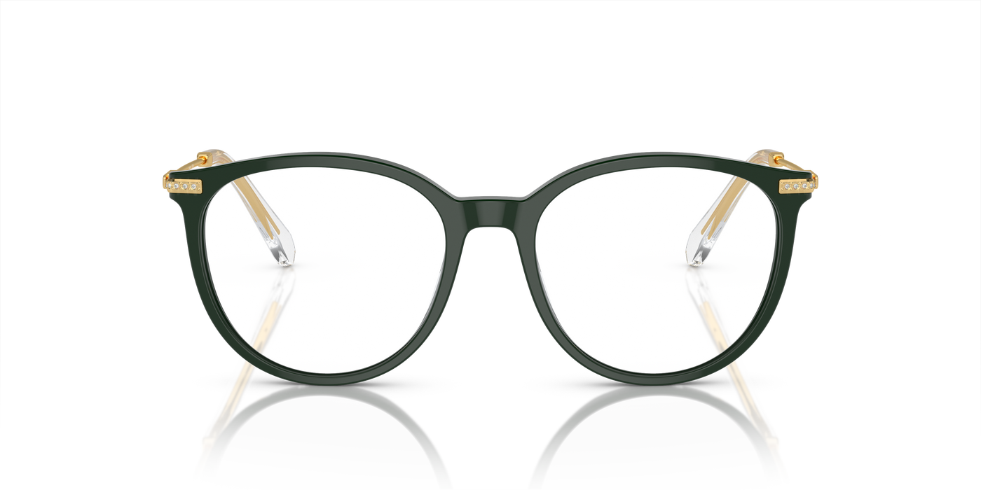 Gafas de Sol Swarovski SK2009 1026 52 17