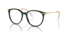 Sunglasses Swarovski SK2009 1026 52 17