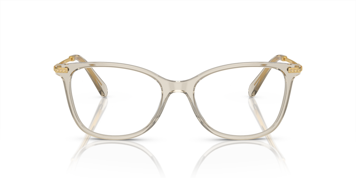 Gafas de Sol Swarovski SK2010 3003 54 17