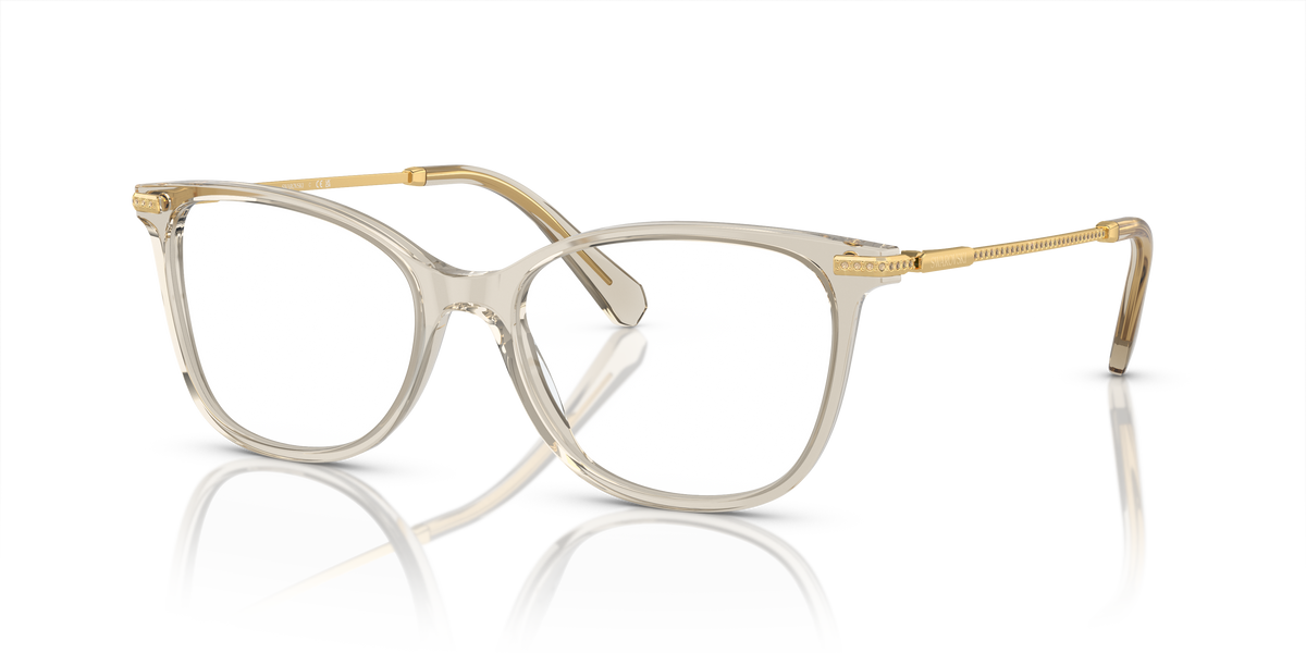 Gafas de Sol Swarovski SK2010 3003 54 17