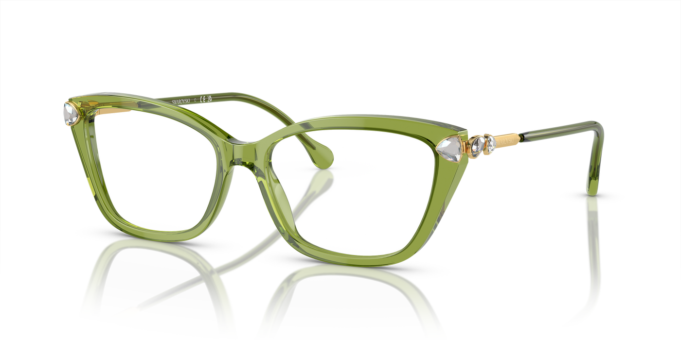 Prescription Glasses Swarovski SK2011 3002 55 16