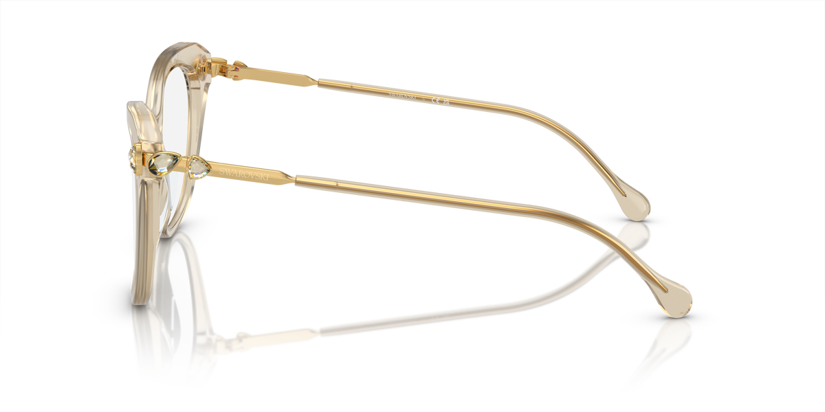 Gafas de Sol Swarovski SK2012 3003 51 17