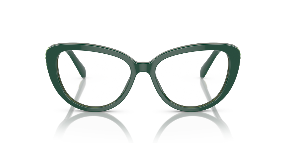 Gafas de Sol Swarovski SK2014 1017 52 17
