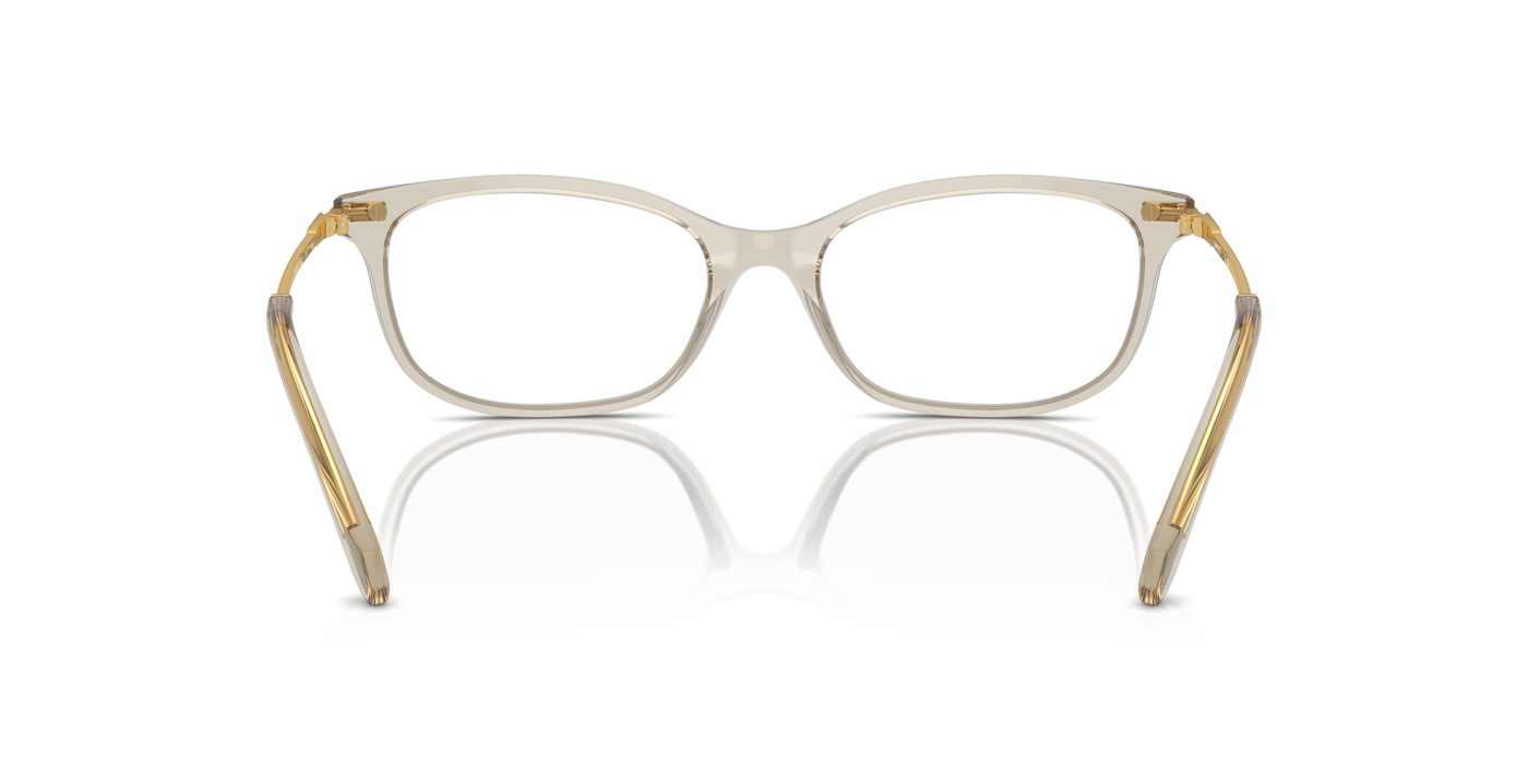 Prescription Glasses Swarovski SK2017 3003 52 17