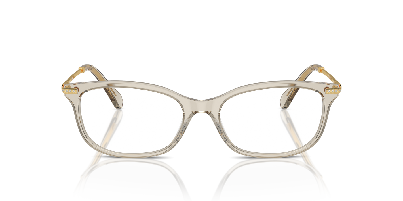 Prescription Glasses Swarovski SK2017 3003 52 17
