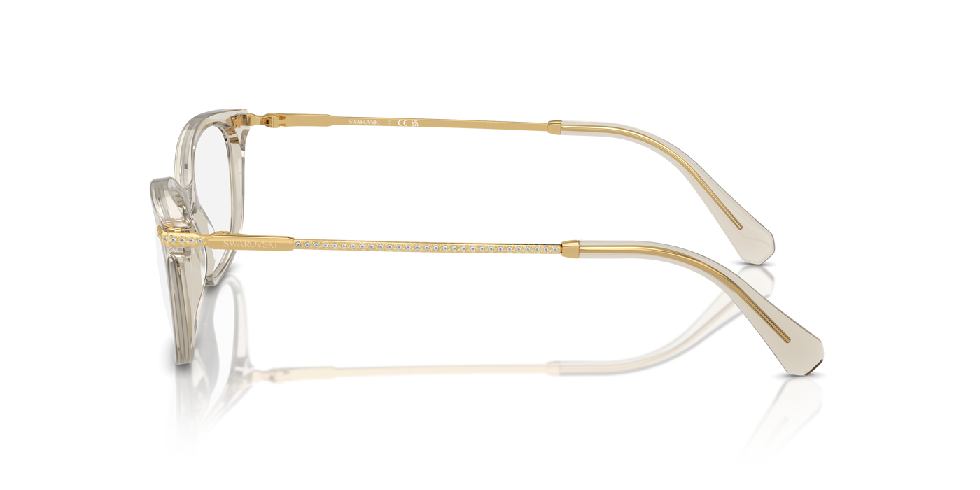 Prescription Glasses Swarovski SK2017 3003 52 17