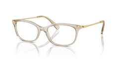 Prescription Glasses Swarovski SK2017 3003 52 17