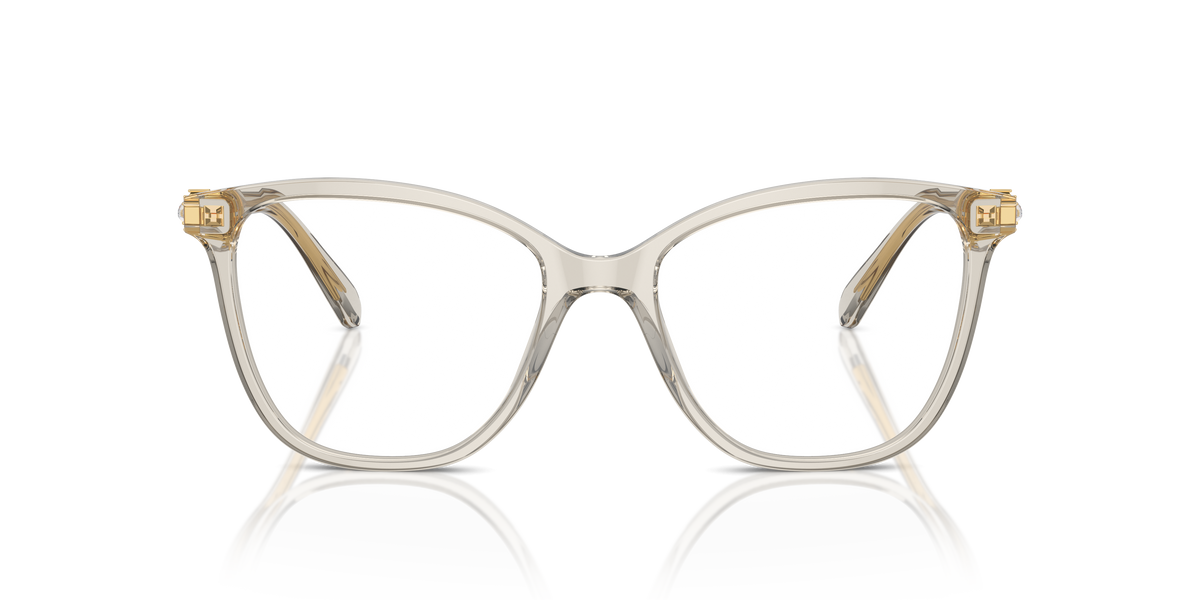 Gafas de Sol Swarovski SK2020 3003 52 18