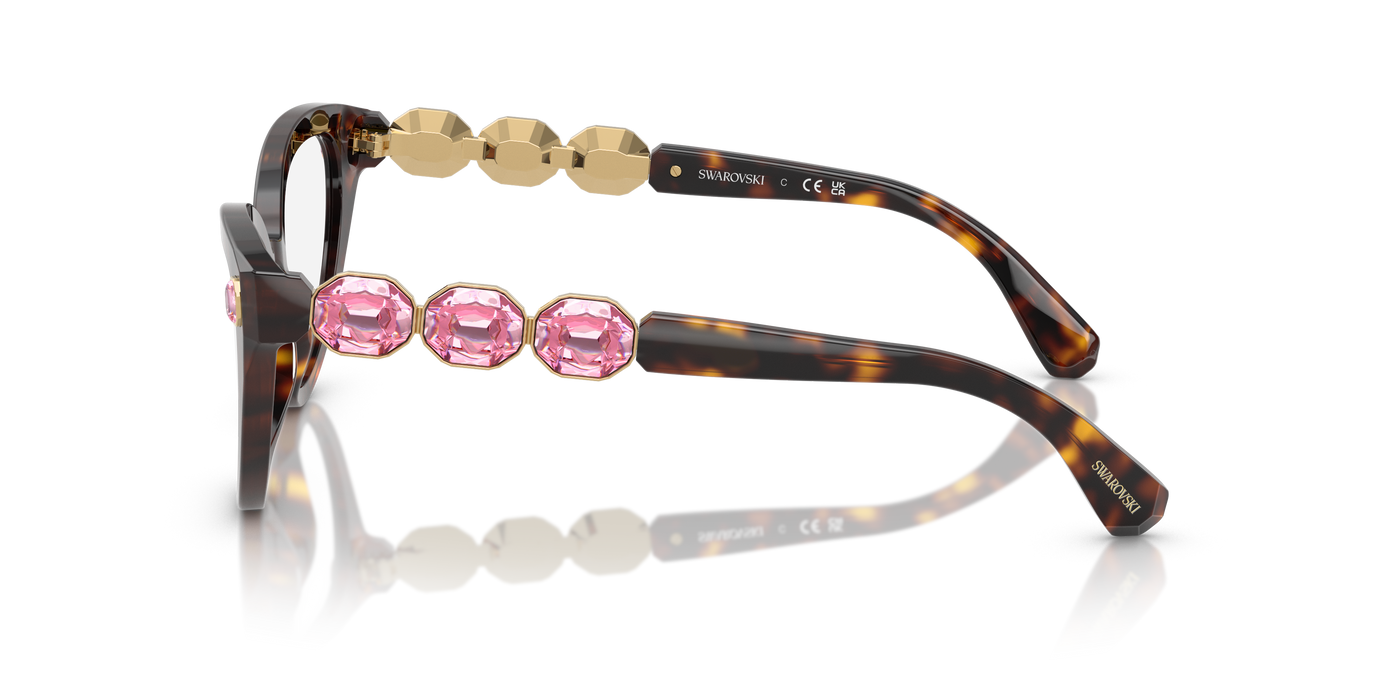 Gafas de Sol Swarovski SK2028 1002 51 19