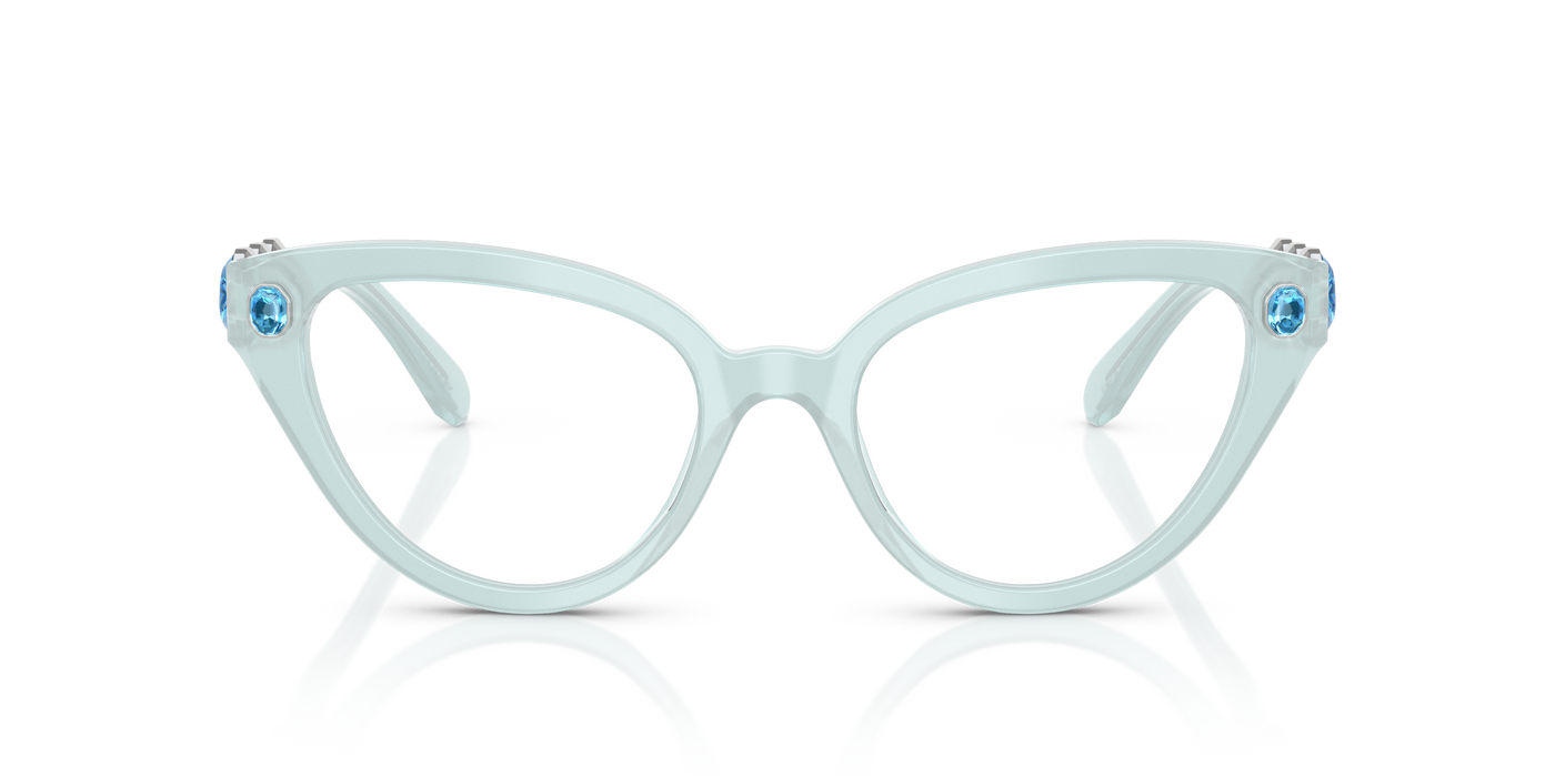 Gafas de Sol Swarovski SK2028 1024 51 19